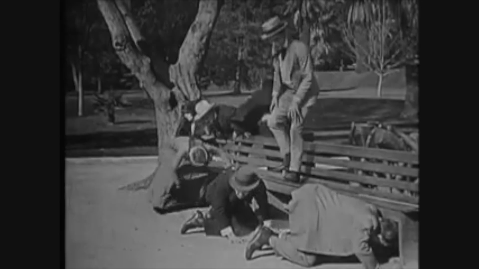 Thumbnail image for Are Crooks Dishonest?